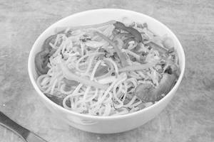 Veg Hakka Noodles