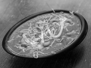 Kaju Masala