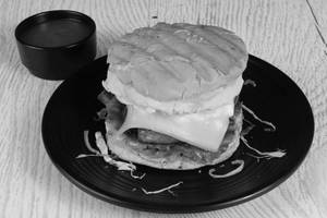 Paneer Salsa Burger