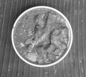 Paneer Butter Masala