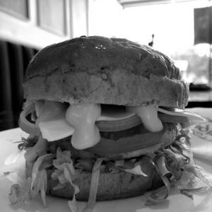Exotica Burger Ts