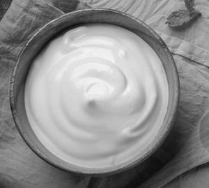 Plain Curd