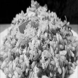 Bhel Chaat