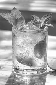 Mint Mojito