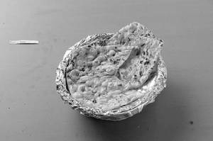 Pudina Naan