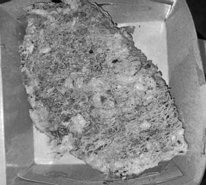 Chicken kabiraji
