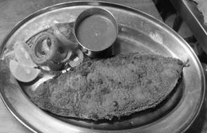 Surmai Fry