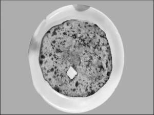 Aloo Paratha