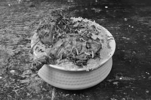 Hyderabadi Chicken Dum Biryani