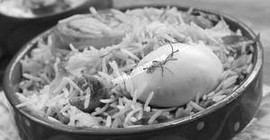 Egg Biriyani