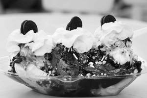 Baba Special Tripal Sundae