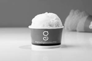 Vanilla Ice Cream