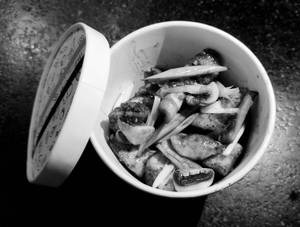 Peppered Cottage Cheese With Mushroom