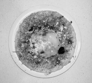 Open Dosa   