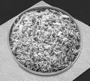 Veg Fried Rice