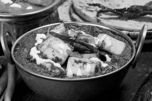 Palak Paneer