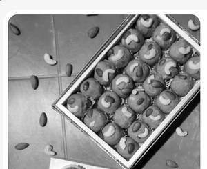 Aata Dry Fruit Ladoo