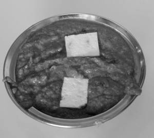 Khoya Paneer