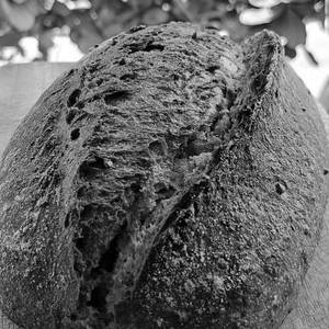 Buckwheat Sourdough