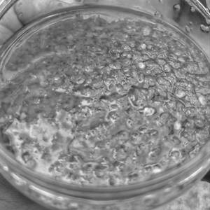 Chilly Garlic Dip