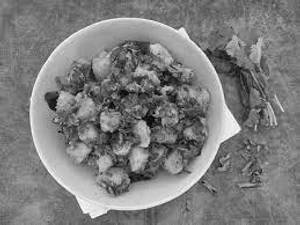 Fried Idly