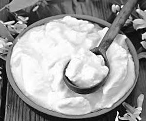 Plain Curd