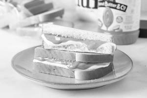 Peanut Butter Sandwich