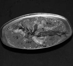 Prawns Masala