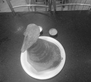 Ghee Dosa Spl