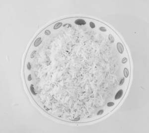 Steamed Rice