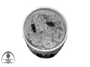 Mughlai Gravy