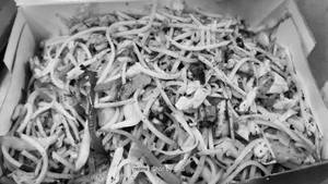 Chicken Noodles