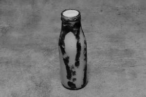 Blackcurrent Shake