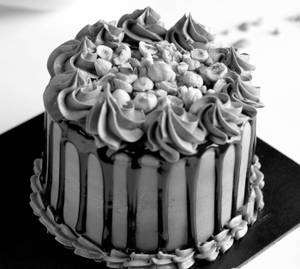 Hazelnut Crunch Cake