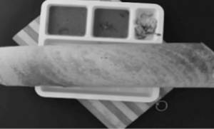 Masala Dosa