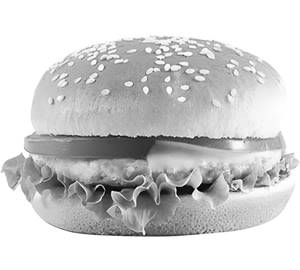 Veg Maxican Burger 