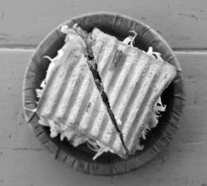 Veg Sandwich
