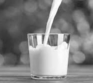 Milk