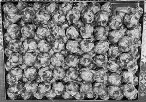 Dry Fruit Laddu