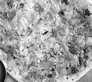Veg Uttapam