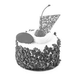 Choco Crunch Fresh Cream Cake 450gm