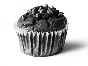 Chocolate Muffin