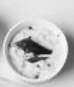 Coconut Chutney