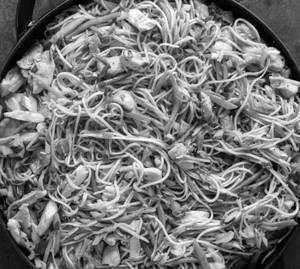 Chicken Chowmin