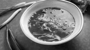 Manchow Soup