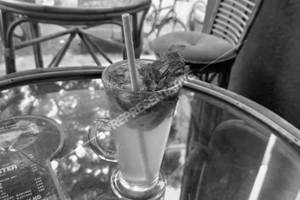 Virgin Mojito  
