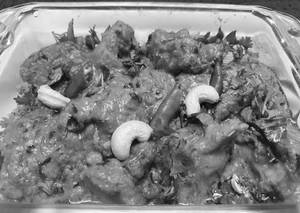 Chicken Mughlai