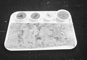 Rava Dosa