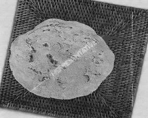 Bajri roti