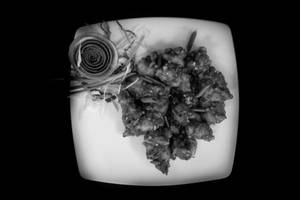 Gobi Manchurian